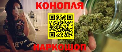 гидра Беслан